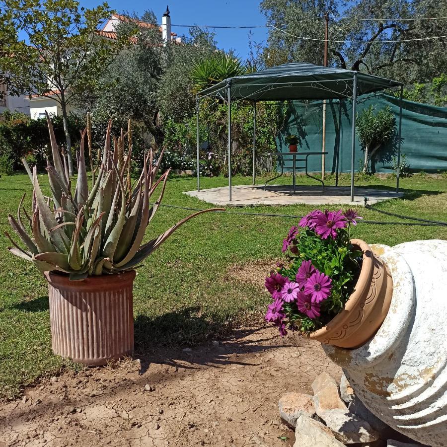 Itea'S Garden House Vila Kirra Exterior foto
